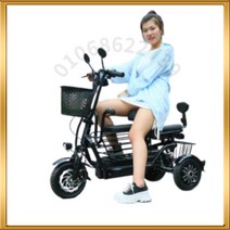 세발 전기자전거 가성비 삼륜 노인 전동 성인용 배달용, 35km 3인승, 48V