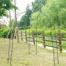 21세기트랜드 가든아치-버드, 가든아치-버드 블랙