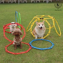 딩동펫 강아지 어질리티 자유자재 팔각링, 색상:자유자재팔각링 그린세트