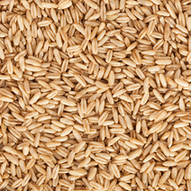 캐나다산 귀리 쌀 10kg (5kg+5kg) 수입 잡곡 슈퍼푸드