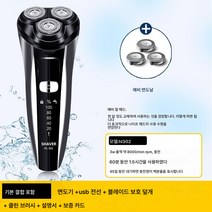 헤드 전신 워싱 전기 면도기 고출력 면도기 충전 면도기, H302 스탠다드 + 스페어비트