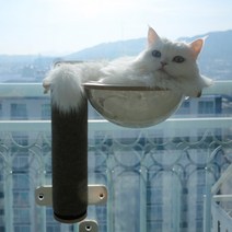 [브리스캣] 윈도우캣 창문에 붙이는 흡착식 창문캣타워 창문선반 낭만뷰 캣워커 창문해먹 CWS03, 브라운, 좌측