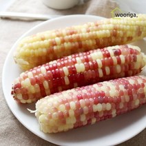 우리가스토리 홍찰 냉동 찰옥수수 28개 (16∼18cm)
