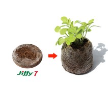 가든럽 지피 44mm 100개+5개 10개 압축피트모스 제라늄 삽목 이식 모종 파종, 지피 44mm 10개입