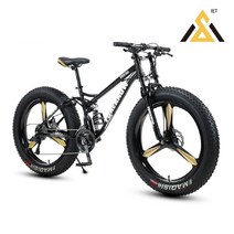 프리미엄 MTB 자전거 팻바이크 광폭타이어 24인치 26인치, 화이트-24단-쓰리 휠