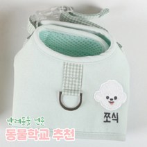 리토가토 러비 커스텀 캐릭터 강아지 하네스 + 리드줄 세트 민트 (컴퓨터 자수) 동물학교 추천