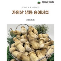 [경동버섯유통 송이 능이]자연산 송이버섯/ 냉동 1pk 냉동송이/L M S 2S 3S C/1kg, 1개