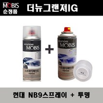 순정품 현대 더뉴그랜져IG NB9 미드나이트블랙 스프레이 + 투명스프레이 자동차 도색 차량용 카페인트, NB9스프레이+투명스프레이(모비스)