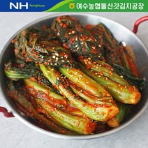 여수농협 여수돌산 갓김치 (국내산), 2kg, 1개