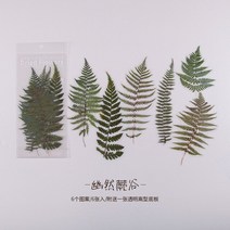 스티커세트 다이어리 꾸미기 새해 다꾸 폰꾸 스티커 세트 용품 Dimi 말린 꽃 큰 스티커 Ins 로즈 애완 동물, 07 G