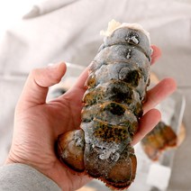 랍스타테일 4oz 3미 (330~360g) 캐나다산