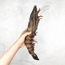 킹 블랙 타이거새우 대왕 특대 자이언트 버터구이 요리 캠핑 음식, 프리미엄타이거 1마리 340g내외, 1개