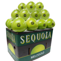 코스트코 미국 메로골드 Melo Gold 자몽 청자몽 그린자몽 27입 특대 16k 내외 1박스 파는 곳, 16kg