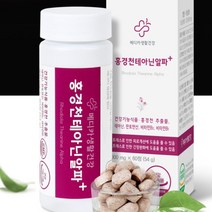 l테아닌 홍경천추출물 판토텐산 비타민B 스트레스 디스트레스 불안 초조 장애 긴장완화 피로개선 신경안정제 태아닌 불면증 수면장애 해소 숙면 알파파 릴렉스 영양제, 1병(1개월)