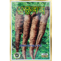 산중더덕 씨앗 텃밭 주말농장 뿌리 더덕씨앗 종자