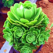 자동차 견인고리 견인볼