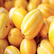 성주 참외 가정용 2.5kg 5kg 10kg (등급 - 상), 1box, [14]가정용 참외 10kg / 특대과