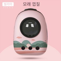 애완 동물 가게 고양이 가방 외출 휴대용 고양이 배낭 고양이 공간 캡슐 애완 동물 고양이 학교 가방 어깨 고양이 가방 고양이 용품, 열두 홀 - 이른 아침 목회, 표준 액세서리(에스컷천 + 후드 포함)