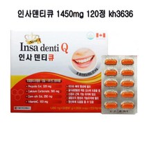 인사덴티큐 1450mg 120정 kh3636