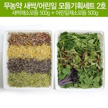 무농약 새싹 어린잎 모듬기획세트 2호 1kg (쌔싹채소모듬 500g   어린잎채소모듬 500g) 파릇파릇 싱그러움이 가득한 영양만점 새싹 어린잎채소 (산지직송)(월~목발송)
