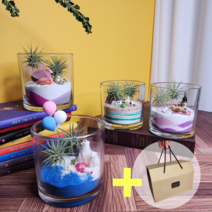 [ 골든메이 ] 이오난사 모래정원 테라리움 만들기, 4. 우아하새, 1개