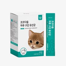 코코다움 고양이 구강케어 입냄새 잇몸 영양파우더 하루 구강 유산균, 1박스