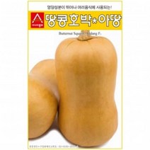 (아시아종묘/호박씨앗종자) 땅콩호박-아땅 (10립)