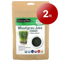 Wilderness Poets 그린 슈퍼푸드 오가닉 밀싹즙 파우더 Wheat Grass Juice Powder 99g 1팩, 2팩