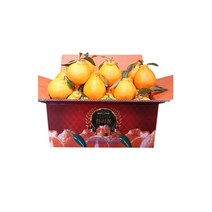 한라봉 제주한라봉 가정용 3kg 5kg 당도보장 제철과일, 10kg 특대과(22~32수)