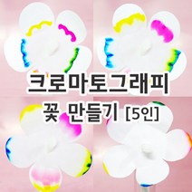 크로마토그래피 꽃 만들기 (5인) 신기한 과학 실험 키트 과학교구