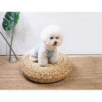 푸들 비숑 소라색 민소매 티셔츠 강아지 옷 치와와옷 웰시코기, S