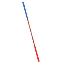 카시야 투웨이 파워스틱 골프 스윙연습기, 펄오렌지, 1개