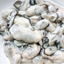 [자연맛남] 국내산 통영 최상급 생굴 1kg