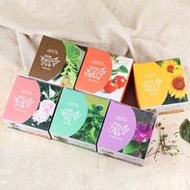JAYART18_자연애 마이가든 식물 기르기 방울토마토키우기 미니키우기 해바라기키우기 강낭콩키우기 허브바질키우기 초보용키우기 봉선화키우기+jac230126, (주)제이아트co_방울토마토