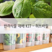 IVO979033키우기쉬운 반려식물 미니화분 재배 세트 허브바질