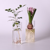 꽃병 생화 조화 화병 투명 유리 히아신스 꽃병5cm투명 꽃 식물 병 방꾸미기 데코 소품, 단일옵션