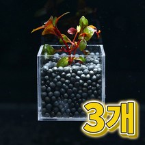 미미네아쿠아 어항수초 컨테이너 루드위지아 슈퍼레드 세트 3개, 단품없음