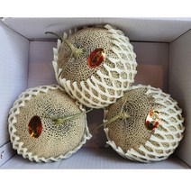 세론이 메론5kg3개입 고당도11브릭스 나주멜론, 1