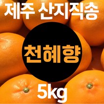 천혜향5키로 제주도 산지직송 고당도 택배 가정용