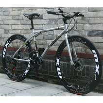 초경량 입문로드자전거 산뜻한 색감 남여 싸이클 자전거, 신상24단60단티타늄실버