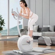 가정용 좌식 실내자전거 다이어트 운동 헬스 기구 스피닝 자전거 바이크 무소음, 그림 색상