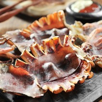 영덕 반건조 오징어 (중) 10마리(총 950g) 합포장 [도리마켓], 단품