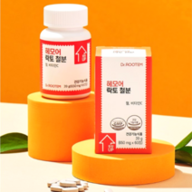 비동물성 비헴철 철분 30mg 헤모어 락토 철분 2개월분