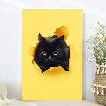 강아지 고양이 애완동물 반려동물 반려견 사진 방꾸미기 인테리어 캔버스 액자, 08봄베이고양이