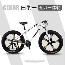 팻바이크 입문용 오프로드 MTB 자전거 20 24 26인치, 27단, 화이트(5 나이프 휠)