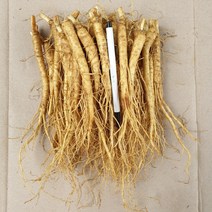 금산인삼 소삼계 750g 40-70뿌리 튀김용 삼계탕용 갈비탕용, 세척