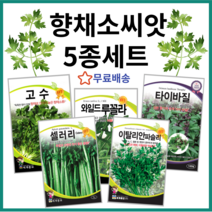 향채소씨앗 5종세트 고수 루꼴라 파슬리 타이바질 셀러리 씨앗 종자 와일드루꼴라 이탈리안파슬리 주주씨앗