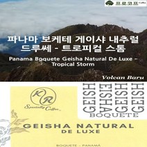 (커피생두) 파나마 보케테 게이샤 내추럴 드루쎄-트로피컬 스톰, 250g, 1개