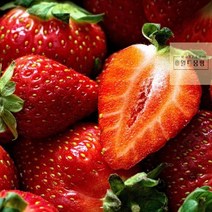 킹스베리_만년설_국내산_라떼_냉동_농장_딸기_금실_제철_1500g_청_설향 BA31, 상세페이지 참조