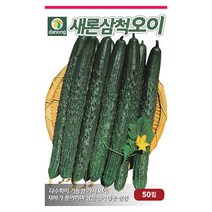 노각 오이 씨앗 50립 - 웰빙오이 늙은오이 오이씨앗 야채씨앗 채소씨앗 채소재배 종묘 종자 베란다 텃밭 씨 씨앗 호박 방울토마토 수박, 06_다농_새론삼척 오이(가시오이)(50립)